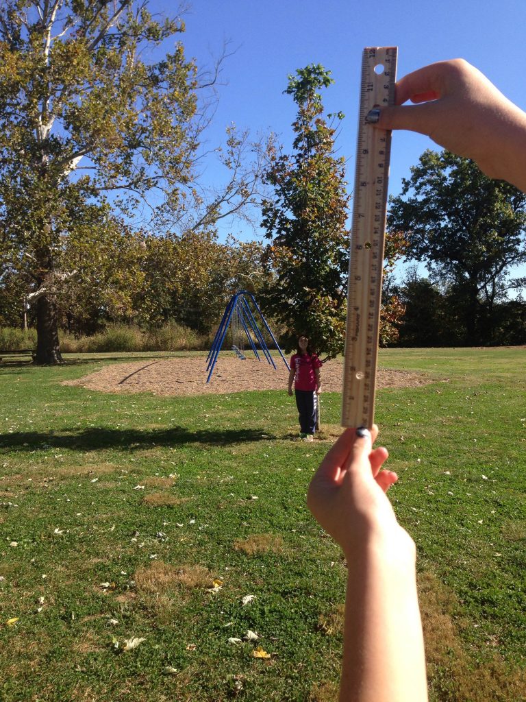  One students holds the rule, at distance away from the tree that creates the allusion that the tree is 12 inches tall. The other student stands directly beside the tree. 