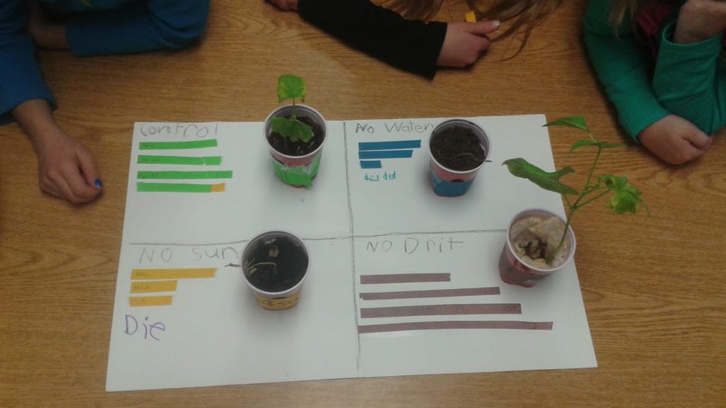 Three students show the bar graph they designed out of colored paper strips, along with the four plants used during the investigation. 