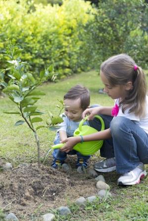 Two children watering a sapling