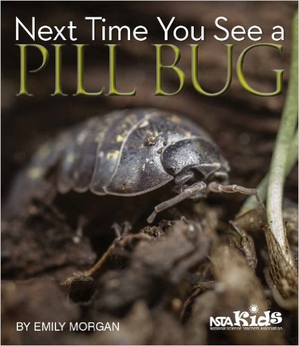 Cover_3-5_Next-Time-You-See-a-Pill-Bug