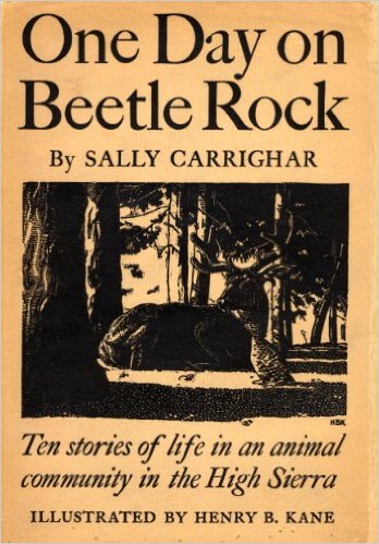 Cover_3-5_One-Day-on-Beetle-Rock